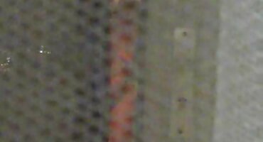 ການແຕກແຍກກັບນັກກີຕ້າໃນສວນ.