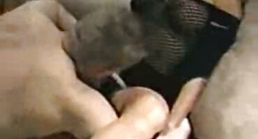 ໄກ່ໃຫຍ່ fucked ແມ່ໃນວັນເກີດ