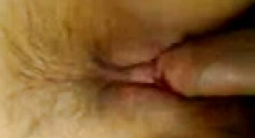 ສອງ schmars ຊິລິໂຄນກໍາລັງມີເພດສໍາພັນ.