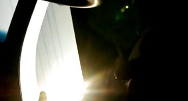 Mini stallion ໄດ້ຮັບການປະສົມກັບຄູ່ສົມລົດສີຂາວ.