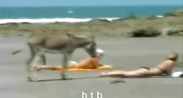 ເດັກຍິງຈາກລັດເຊຍນິ້ວມື pussy ສຸດ couch.