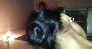 ເດັກຍິງໃນສັ້ນສັ້ນສີແດງ fucked.